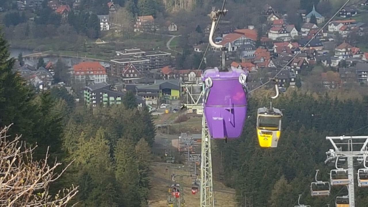 Ferienwohnung Singer Am Erlebnisbocksberg Goslar Zewnętrze zdjęcie
